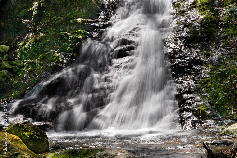 Fototapeta premium water flow in rocky area in JAPAN.