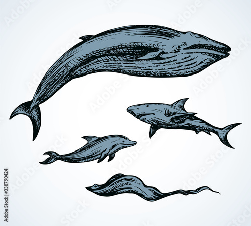 Under sea life. Vector drawing