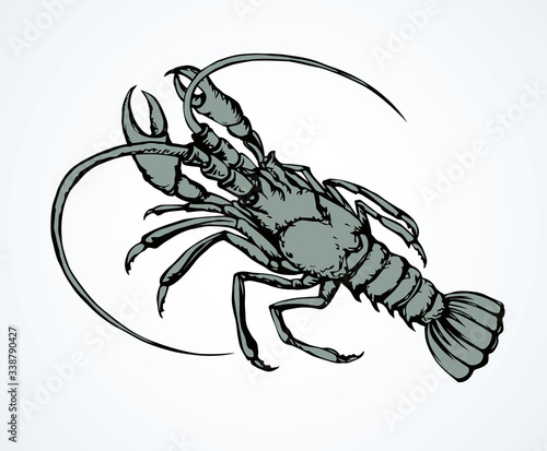 Lobster. Vector drawing