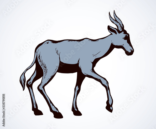 Antelope. Vector illustration