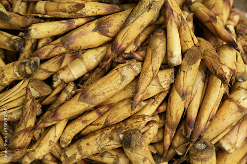 Wild bamboo shoots It's not cleaned up in the morning market Laos  photo