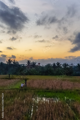 Amazing sunrise view in Ubud, Bali, Indonesia