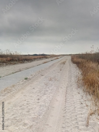 Road through sand dunes and beach grass on cloudy day