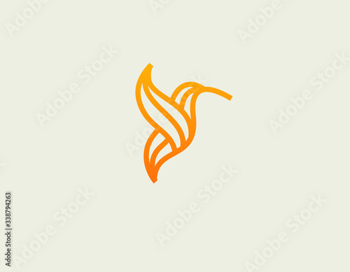 Abstract gradient hummingbird bird logo icon for your company