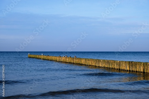 Fototapeta Naklejka Na Ścianę i Meble -   Brown logs in the deep blue sea.