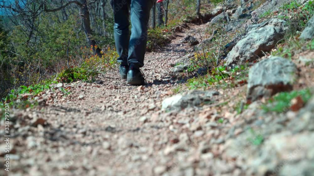 Legs of a man in sneakers walk on a footpath in the forest.