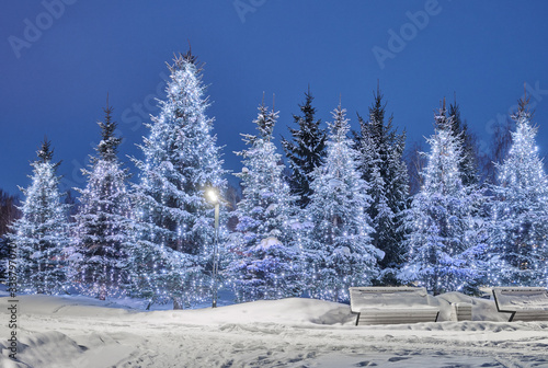 New Year and Christmas lighting decoration on the Christmas trees in the park. © Igor Gorshkov