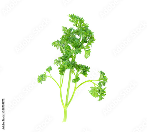 Parsley vegetable isolated on white background