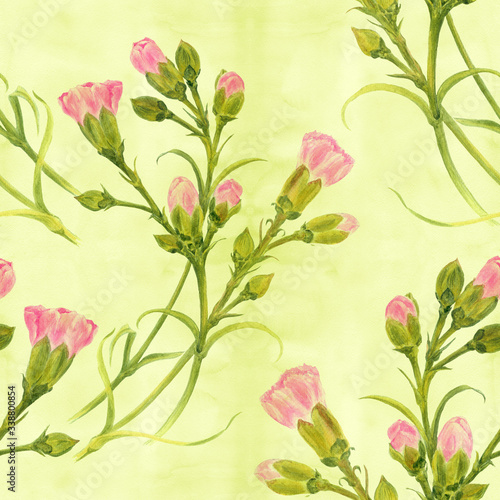 Carnation flowers on the background of watercolor. Seamless background. Branches with buds and leaves. Watercolor. Use printed materials, signs, objects, sites, maps, posters, postcards, packaging.