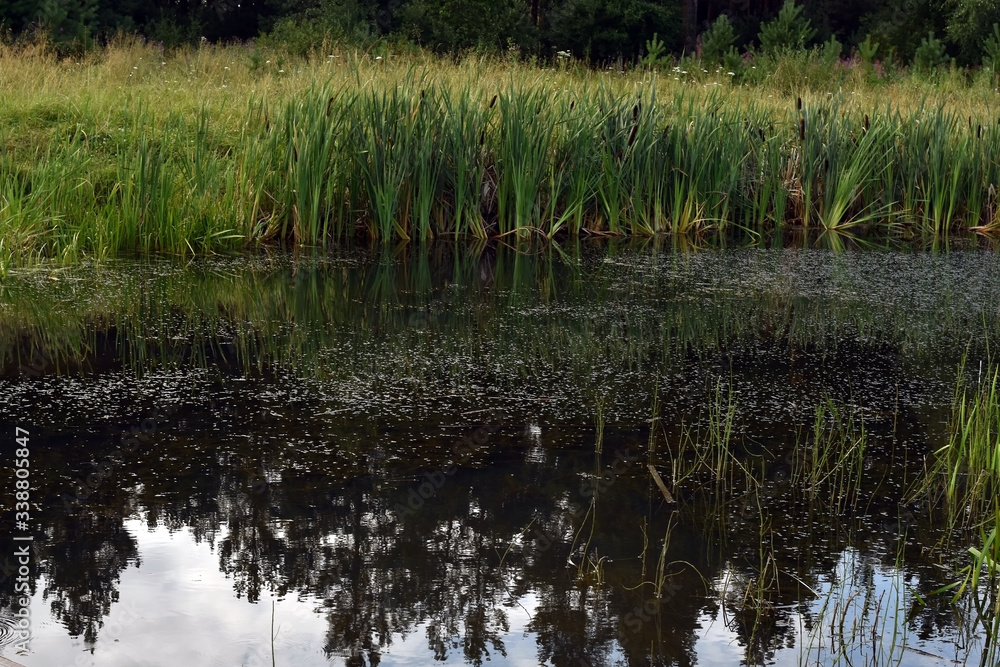 The quiet backwater is very beautiful on a summer day The quiet backwater is very beautiful on a summer day