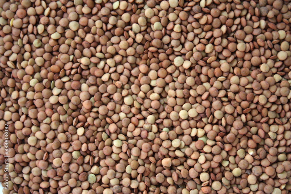 Brown lentils. Background texture of grains of brown lentils. Top view of lentil grains. Close-up, vertical, top view. Concept of healthy eating and agriculture. Brown lentils. Background texture of grains of brown lentils. Top view of lentil grains. Close-up, vertical, top view. Concept of healthy eating and agriculture.