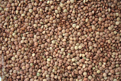 Brown lentils. Background texture of grains of brown lentils. Top view of lentil grains. Close-up, vertical, top view. Concept of healthy eating and agriculture. photo