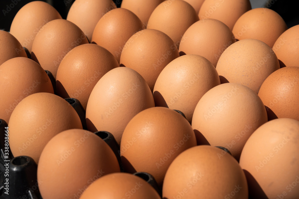 Close - up of chicken eggs in package. selective focus Close - up of chicken eggs in package. selective focus