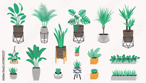 Potted plants collection in a loft style. Succulents, cactus and house plants. Set of house indoor plant vector