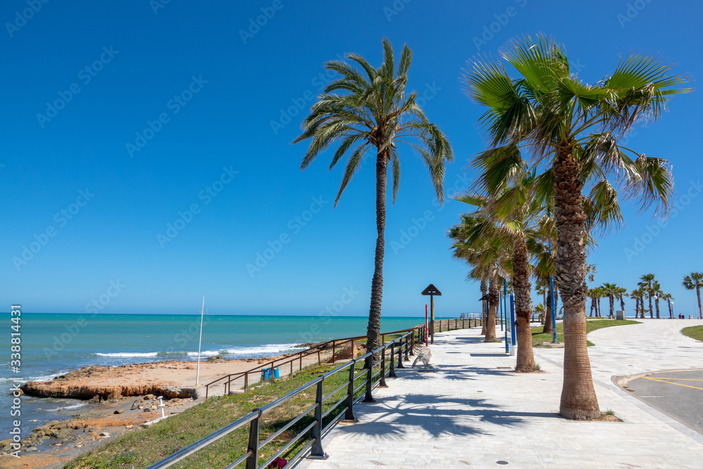 Beach walkway and palms in Cost Blanca, Spain.