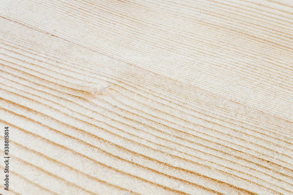 Light wood floor Light wood floor