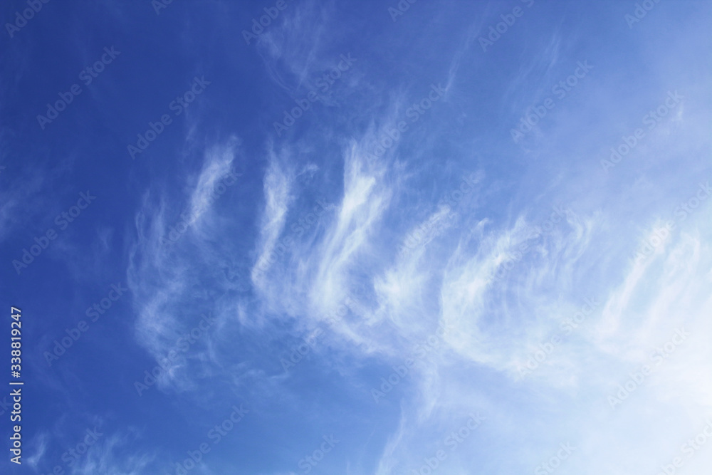 Beautiful cirrus clouds. Background. Landscape. Beautiful cirrus clouds. Background. Landscape.