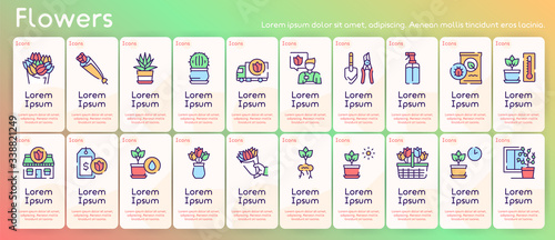 Flowers symbols color linear vector icon set