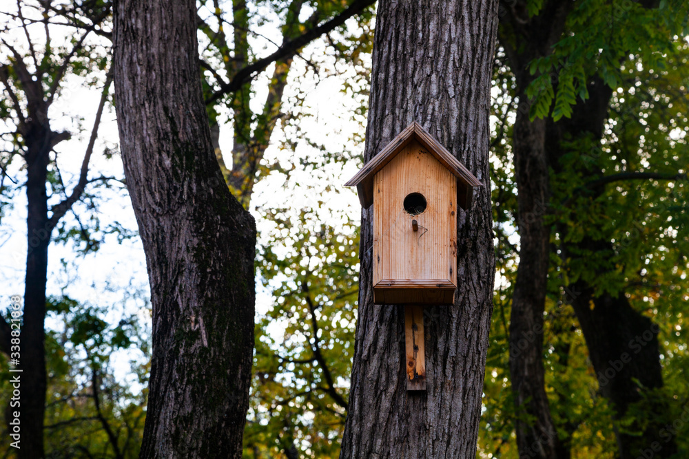 Birdhouse on a tree in the forest. Birdhouse on a tree in the forest.