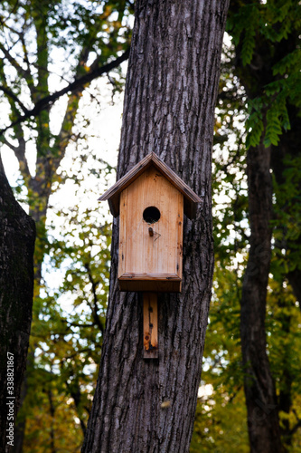 Birdhouse on a tree in the forest.
