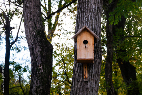 Birdhouse on a tree in the forest.
