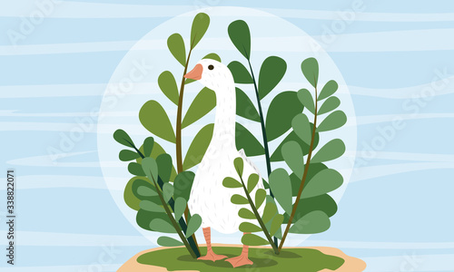 Big white goose in thickets of high green plants. Domestic bird. Children's vector illustration