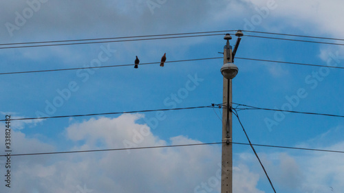 power lines and wires with 