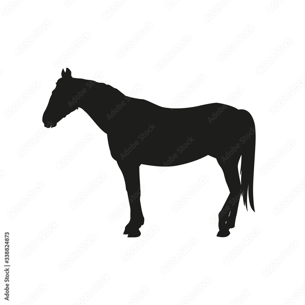 Silhouette of a standing horse vector illustration