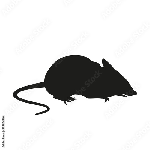 Silhouette of a seated domestic mouse vector illustration