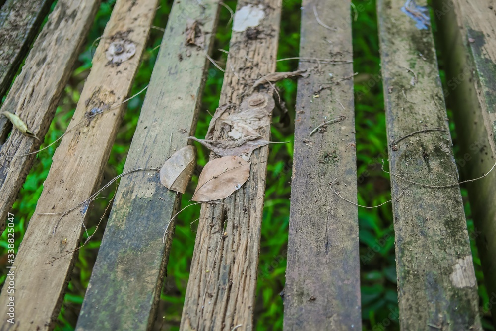 Walls made of wood ,
Walls made of wood ,