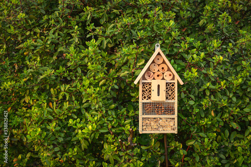 Insect hotel in a green hedge gives protection and a nesting aid to bees and other insects © Matthias