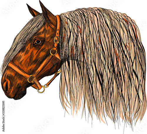 horse head brown bridle with light mane profile sketch vector