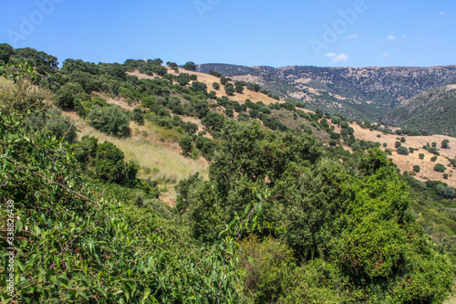 Landscape of Sardinia  Italy  with typical vegetation and mountain range