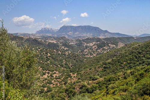 Landscape of Sardinia, Italy, with typical vegetation and mountain range