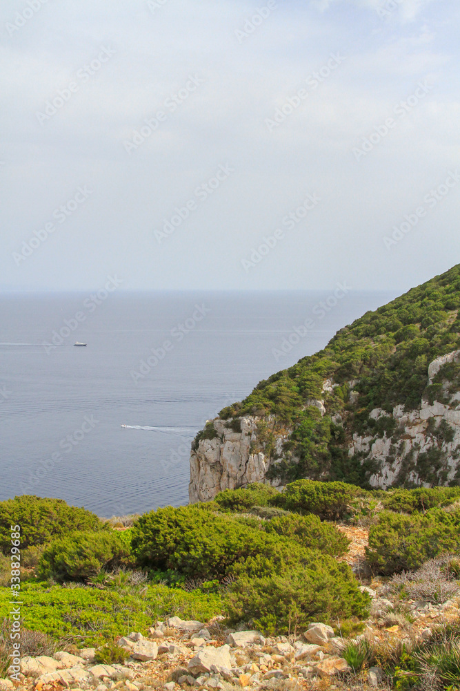 Coastal landscape of the italian island of Sardinia in Southern Europe during summer with cliff (vertical)