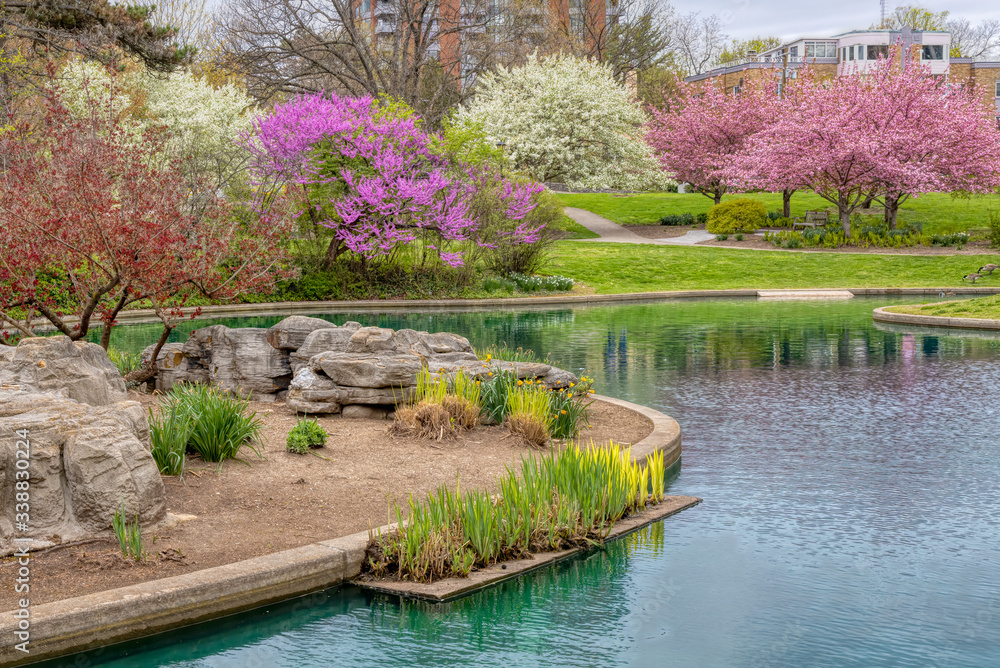 Blooming Flowers and Trees in Spring in Eden Park, Cincinnati, USA