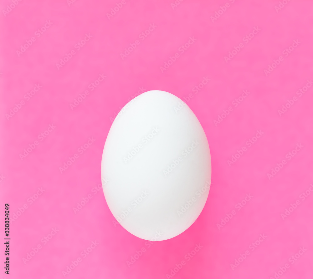 Easter egg on colorful bright pink background