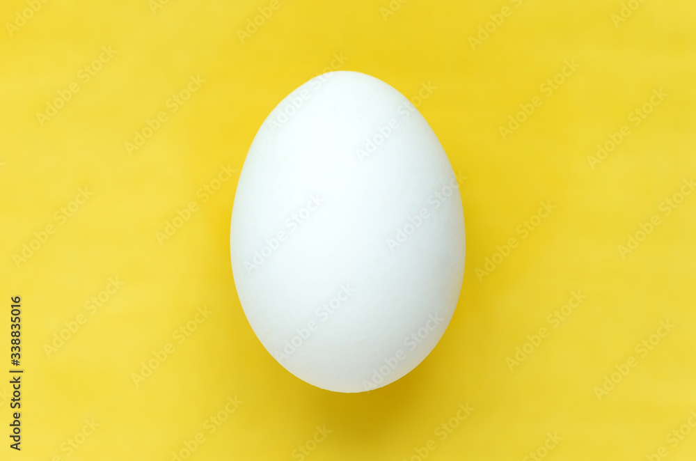 Easter egg on colorful bright yellow background Easter egg on colorful bright yellow background