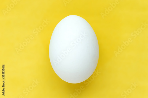 Easter egg on colorful bright yellow background