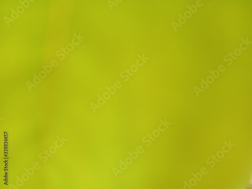 abstract green background with bokeh