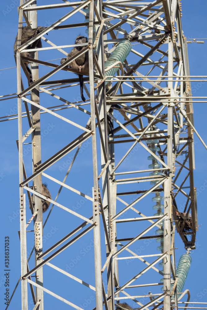 high voltage pylon