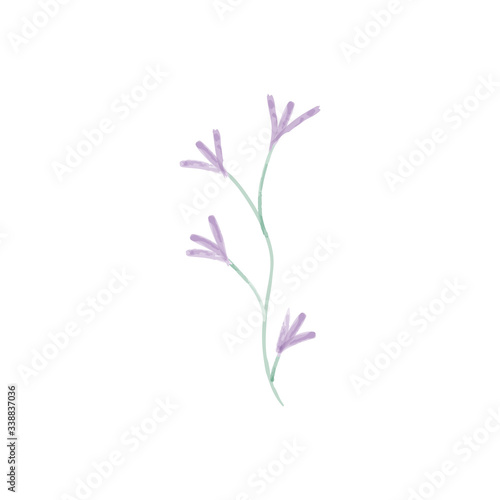 Pastel flowers watercolor illustration. Aquarelle wildflower. Design for textile  wallpapers  element for design  greeting card.