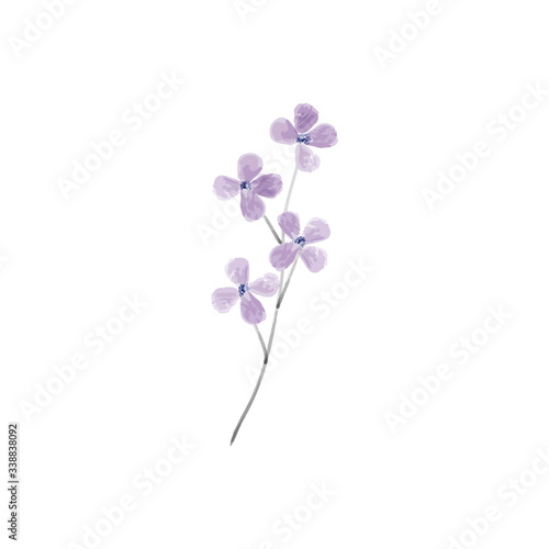 Pastel flowers watercolor illustration. Aquarelle wildflower. Design for textile  wallpapers  element for design  greeting card.