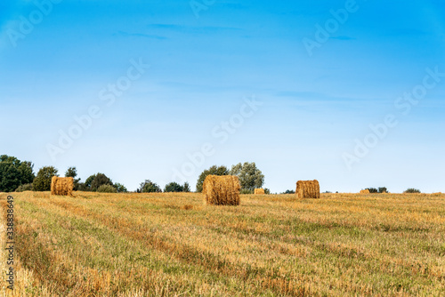A rural landscape with a beveled field and a distant Orthodox church