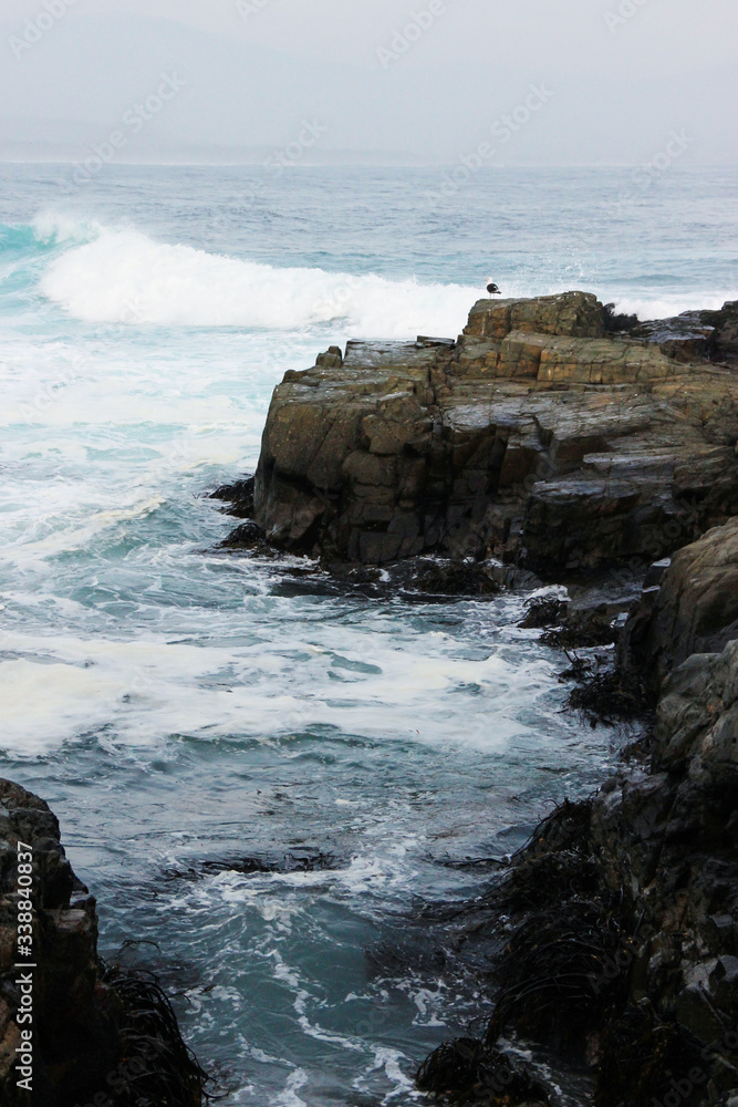 rocas en el mar y gaviota observando rocas en el mar y gaviota observando