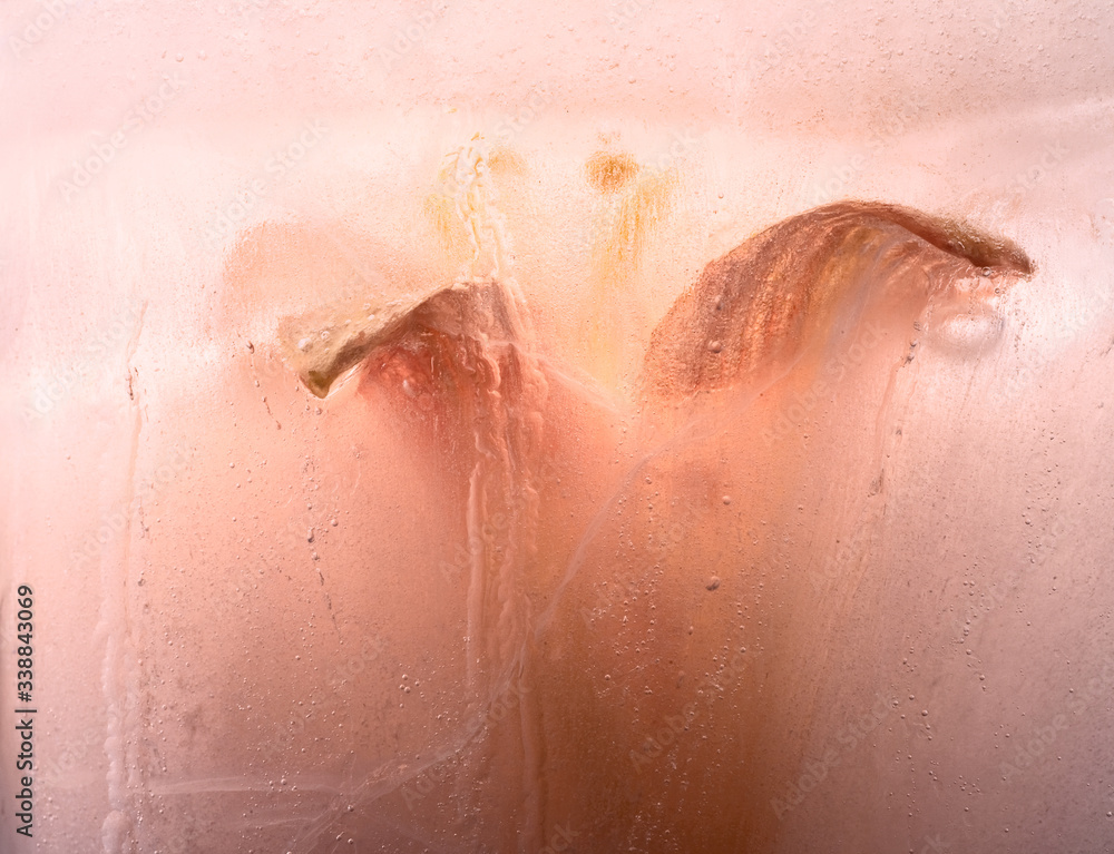 Fototapeta premium Background of day lily flower in ice with air bubbles.