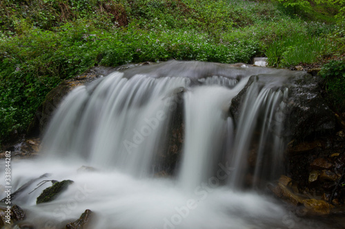 A waterfall inside a deciduous forest during the spring  when the snow melts.