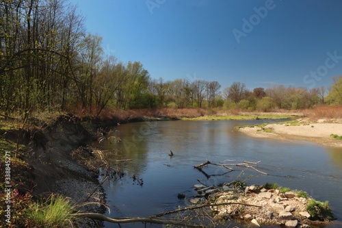Shores and surface of the Odra River meanders in beautiful sunny spring weather with cloudless blue sky