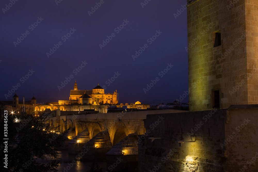 night view beyond the Roman bridge of Cordoba