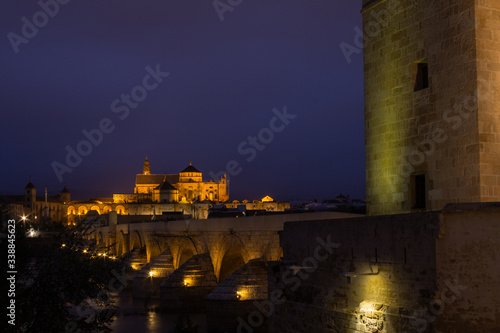 night view beyond the Roman bridge of Cordoba